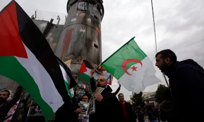 algeria palestine