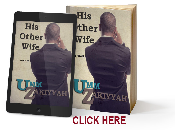 His Other Wife novel