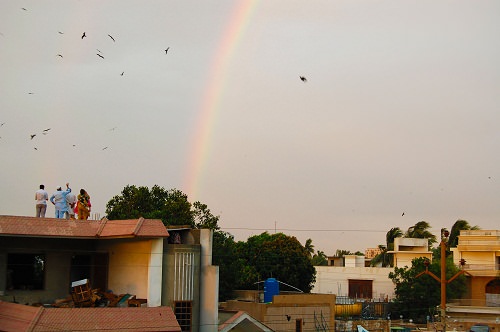 Rainbow, by Sundus Tameez