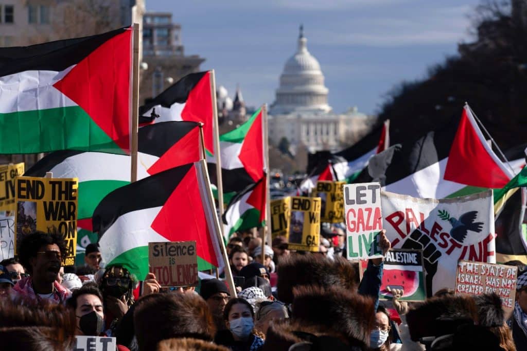 Pro-Palestine March in Washington DC