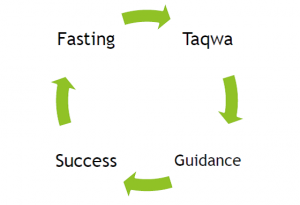 ramadan cycle