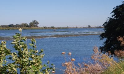 Sacramento River delta