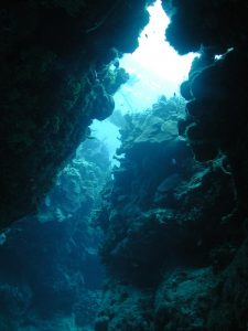 Undersea reef crevice